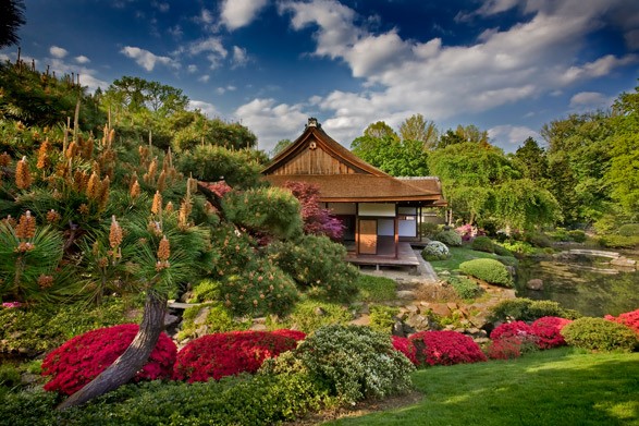 Japanese Garden